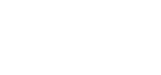 Digital SkyEx Logo